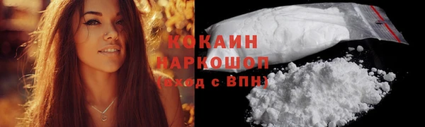 сатива Бронницы